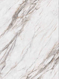 Marble Stone Series - Calacatta Gold Marble KB-8086AY2-808-4X10